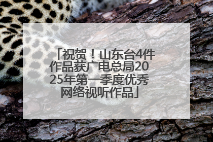 祝贺！山东台4件作品获广电总局2025年第一季度优秀网络视听作品