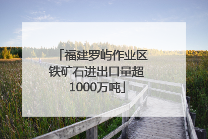 福建罗屿作业区铁矿石进出口量超1000万吨