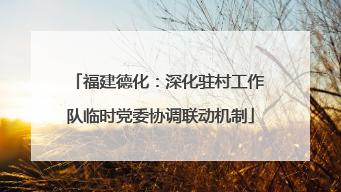 福建德化：深化驻村工作队临时党委协调联动机制