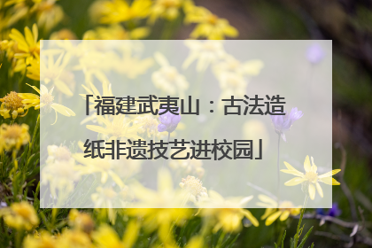 福建武夷山：古法造纸非遗技艺进校园