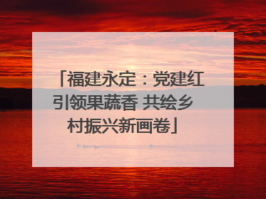 福建永定：党建红引领果蔬香 共绘乡村振兴新画卷