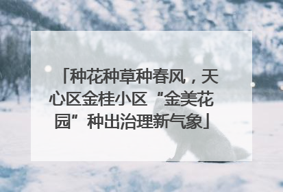 种花种草种春风，天心区金桂小区“金美花园”种出治理新气象