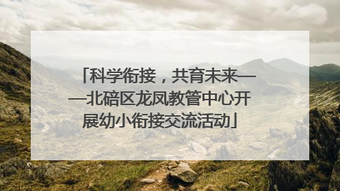 科学衔接，共育未来——北碚区龙凤教管中心开展幼小衔接交流活动