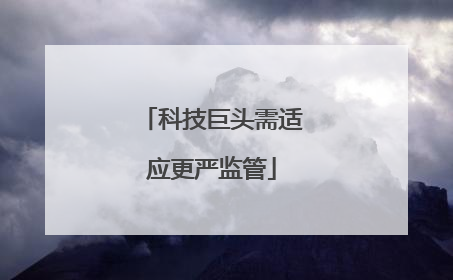 科技巨头需适应更严监管