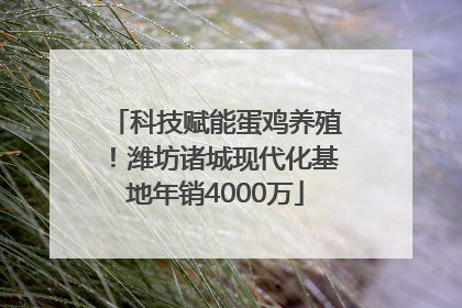 科技赋能蛋鸡养殖！潍坊诸城现代化基地年销4000万