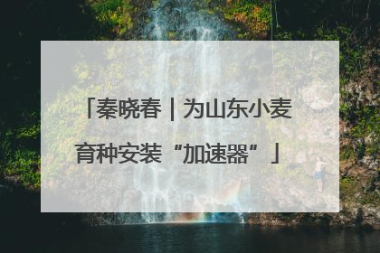 秦晓春｜为山东小麦育种安装“加速器”
