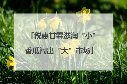 税惠甘霖滋润“小”香瓜闯出“大”市场