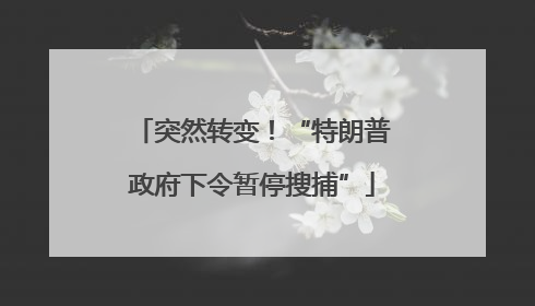 突然转变！“特朗普政府下令暂停搜捕”