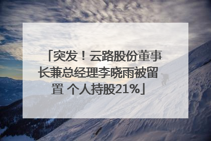 突发！云路股份董事长兼总经理李晓雨被留置 个人持股21%