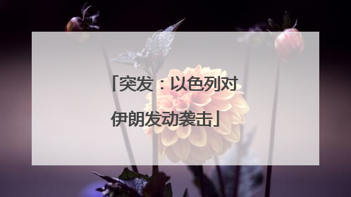 突发：以色列对伊朗发动袭击