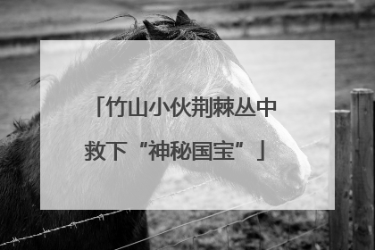 竹山小伙荆棘丛中救下“神秘国宝”