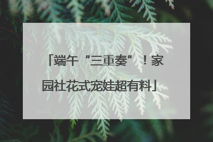 端午“三重奏”！家园社花式宠娃超有料