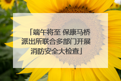 端午将至 保康马桥派出所联合多部门开展消防安全大检查