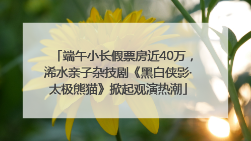 端午小长假票房近40万，浠水亲子杂技剧《黑白侠影·太极熊猫》掀起观演热潮