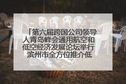 第六届跨国公司领导人青岛峰会通用航空和低空经济发展论坛举行 滨州市全方位推介低空经济发展优势