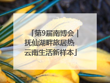 第9届南博会｜抚仙湖畔旅居热 云南生活新样本
