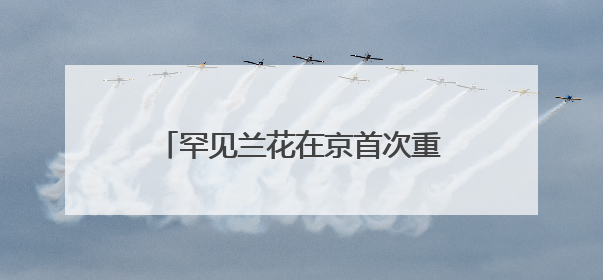罕见兰花在京首次重返山野！极度濒危，幼苗曾遭野猪啃食