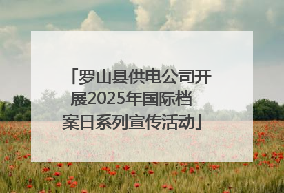 罗山县供电公司开展2025年国际档案日系列宣传活动