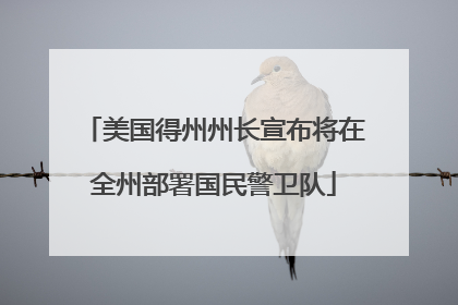 美国得州州长宣布将在全州部署国民警卫队