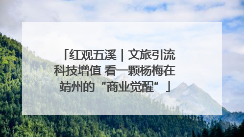 红观五溪｜文旅引流 科技增值 看一颗杨梅在靖州的“商业觉醒”