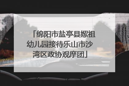 绵阳市盐亭县嫘祖幼儿园接待乐山市沙湾区政协观摩团