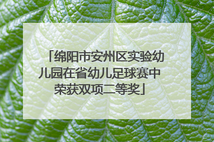 绵阳市安州区实验幼儿园在省幼儿足球赛中荣获双项二等奖