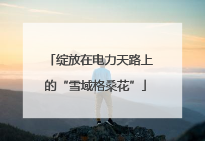 绽放在电力天路上的“雪域格桑花”