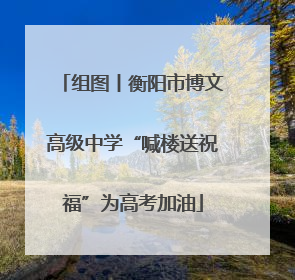组图丨衡阳市博文高级中学“喊楼送祝福”为高考加油