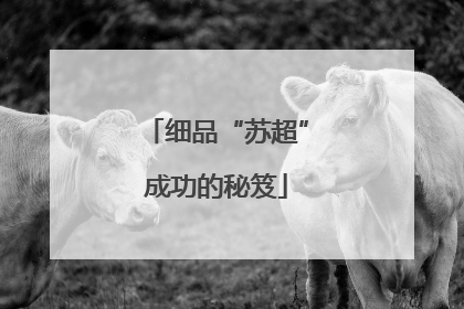 细品“苏超”成功的秘笈