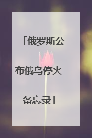 俄罗斯公布俄乌停火备忘录