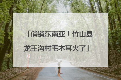 俏销东南亚！竹山县龙王沟村毛木耳火了