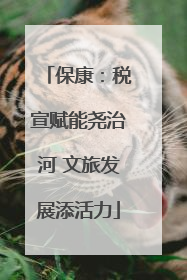 保康：税宣赋能尧治河 文旅发展添活力
