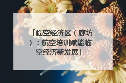 临空经济区（廊坊）：航空培训赋能临空经济新发展