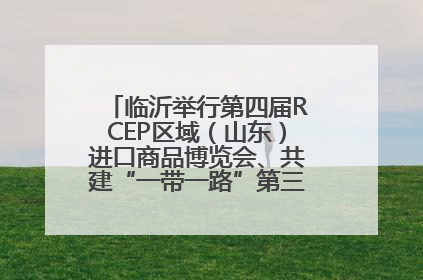 临沂举行第四届RCEP区域（山东）进口商品博览会、共建“一带一路”第三届临沂商城国际采购商大会新闻发布会