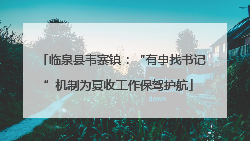 临泉县韦寨镇：“有事找书记”机制为夏收工作保驾护航