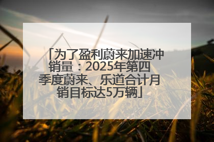 为了盈利蔚来加速冲销量：2025年第四季度蔚来、乐道合计月销目标达5万辆