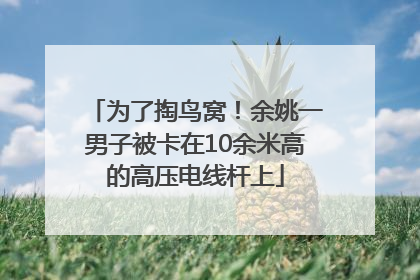 为了掏鸟窝！余姚一男子被卡在10余米高的高压电线杆上