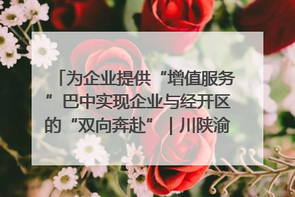 为企业提供“增值服务”巴中实现企业与经开区的“双向奔赴”｜川陕渝网络名人巴中行
