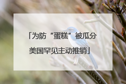 为防“蛋糕”被瓜分 美国罕见主动推销