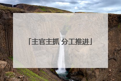 主官主抓 分工推进