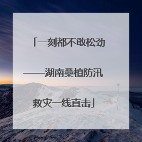 一刻都不敢松劲——湖南桑植防汛救灾一线直击