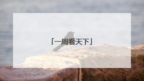 一周看天下