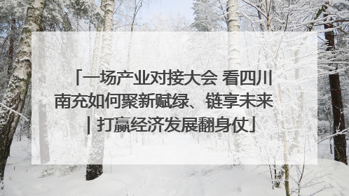 一场产业对接大会 看四川南充如何聚新赋绿、链享未来｜打赢经济发展翻身仗
