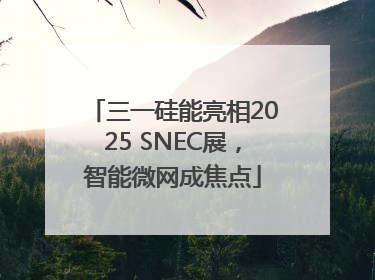 三一硅能亮相2025 SNEC展，智能微网成焦点