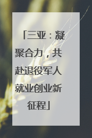 三亚：凝聚合力，共赴退役军人就业创业新征程