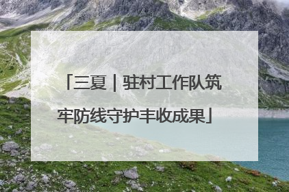 三夏｜驻村工作队筑牢防线守护丰收成果