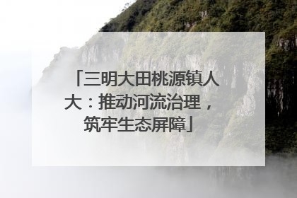 三明大田桃源镇人大：推动河流治理，筑牢生态屏障