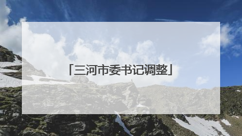 三河市委书记调整