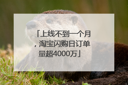 上线不到一个月，淘宝闪购日订单量超4000万