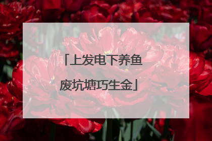 上发电下养鱼 废坑塘巧生金